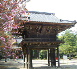 専修寺山門